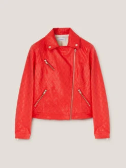 Giubbotto Biker Trapuntato -TraumKleid Verkäufe R077Q000770N016 12S high res